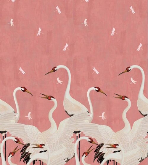 Untitled image (19)